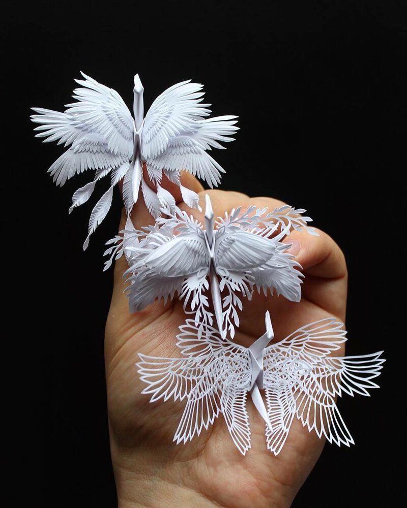 Австралиец сделал 1000 невероятно красивых бумажных журавликов