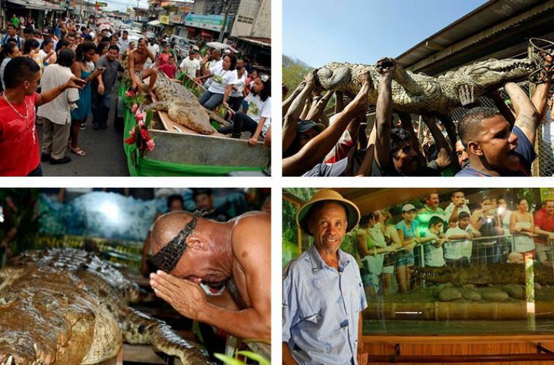 Правила жизни костариканского рыбака, приручившего крокодила