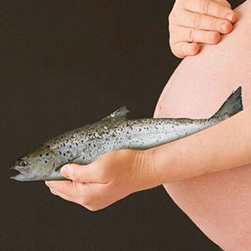 Приснилась рыба - ждать беременность?