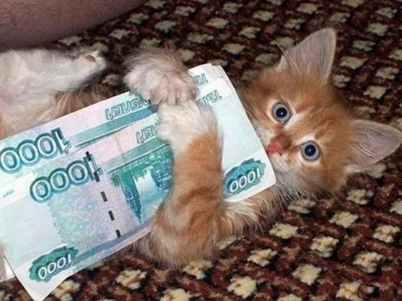 Котейка рубль бережет